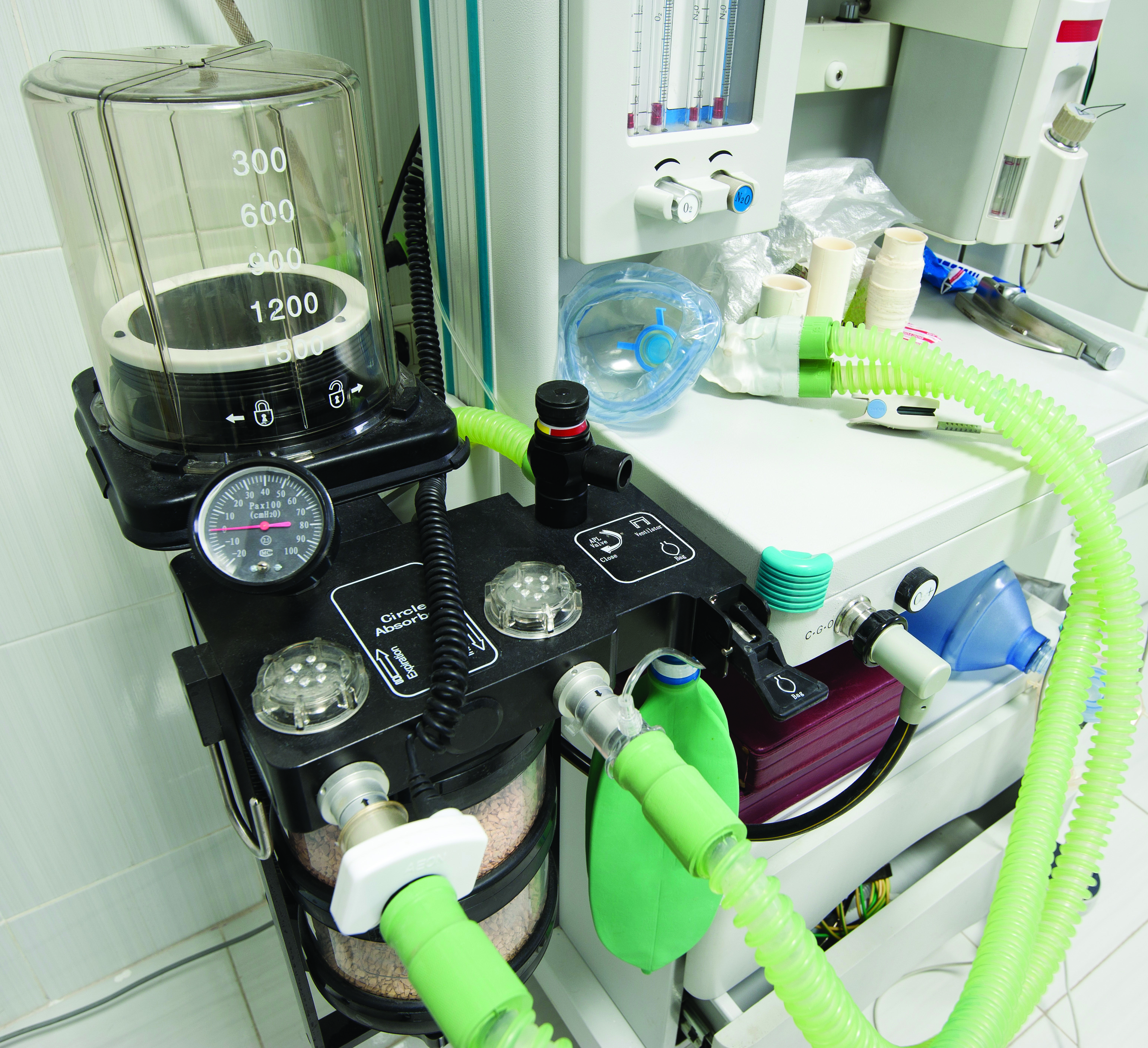 Life Sciences